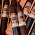 EP Carrillo Pledge of Allegiance 2025, , large image number null