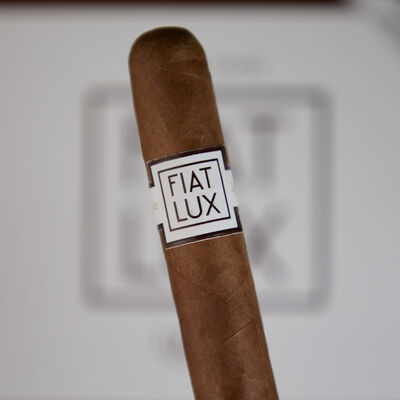 Fiat Lux by Luciano