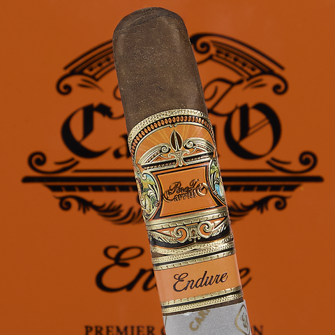 Perez-Carrillo Endure, , large image number null