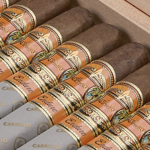 Perez-Carrillo Endure, , large image number null