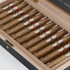 Montecristo 90th Anniversary, , large image number null