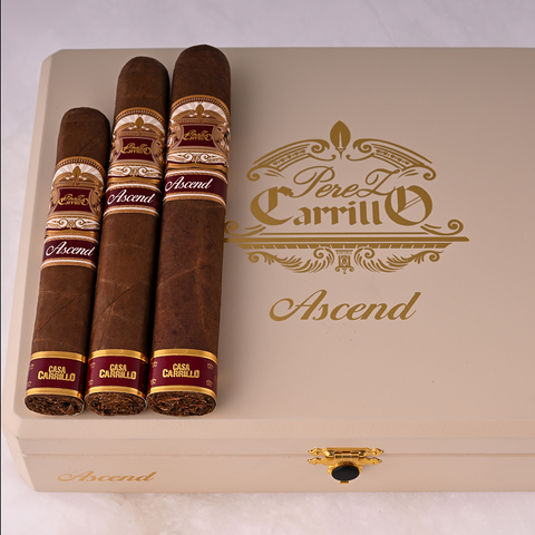 Perez-Carrillo Ascend, , large image number null