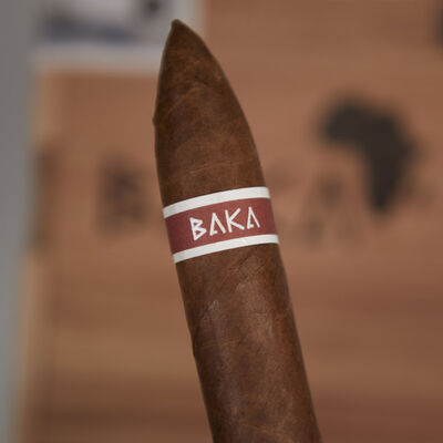 RoMa Craft Baka