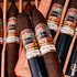 EP Carrillo Pledge of Allegiance 2025, , large image number null