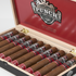 Punch Rare Corojo 25th Anniversary, , large image number null