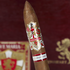 Ave Maria Lionheart, , large image number null