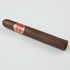 Dunbarton Tobacco & Trust Year of the Pausers 2026, , large image number null