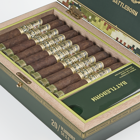 EP Carrillo Battleborn Warrior, , large image number null