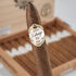 Tatuaje Miami, , large image number null