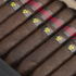 Viaje Zombie Biohazard Red, , large image number null