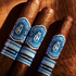 Crowned Heads Moonflower, , large image number null