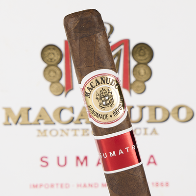 Macanudo Sumatra