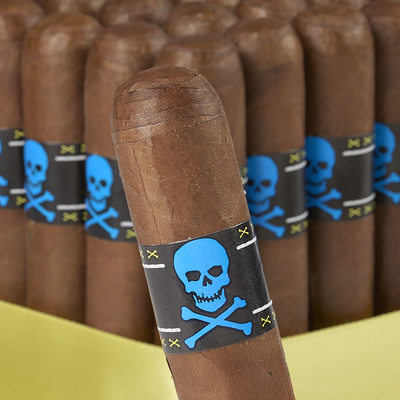 Viaje Skull and Bones Logan
