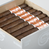 CAO Flathead, , large image number null