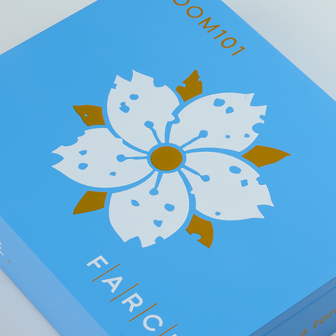 Room101 Farce Nicaragua, , large image number null