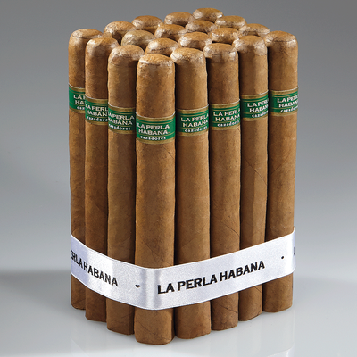 La Perla Habana Cazadores Connecticut