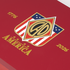 CAO America 250th, , large image number null