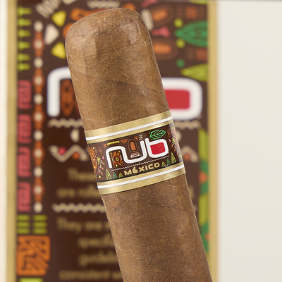 NUB M&eacute;xico