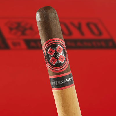 HOYO La Amistad Dark Sumatra by AJ Fernandez