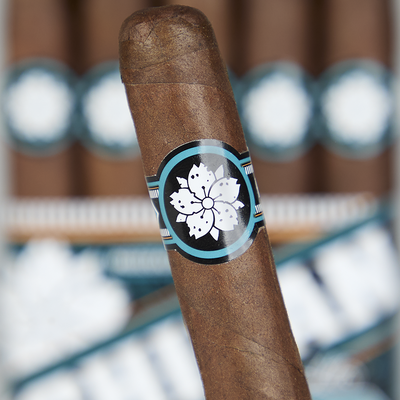 Room101 Ichiban Limited Edition Maduro