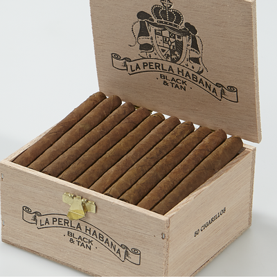 La Perla Habana Black & Tan