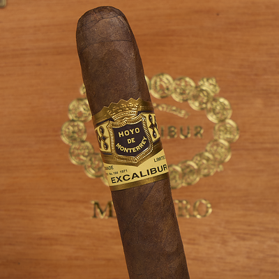 Hoyo Excalibur