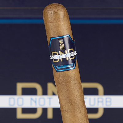 Alec Bradley Do Not Disturb