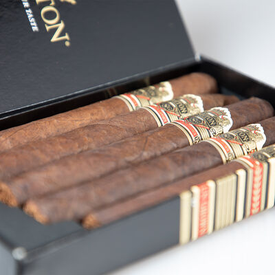 Ashton VSG Sampler