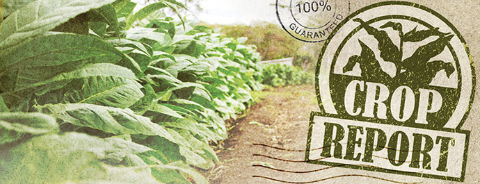 Crop Report The 2014 Growing Season content main image