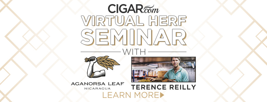 An Interview with Terence Reilly of AGANORSA Leaf content main image