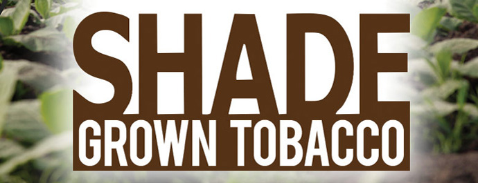 Shade Grown Tobacco