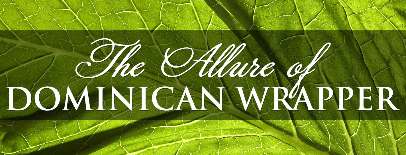 The Allure of Dominican Wrapper content main image