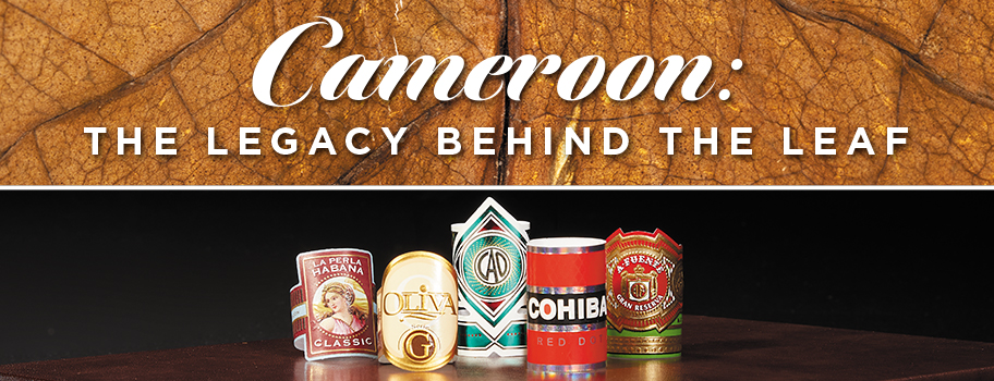 Cameroon: The Legacy Behind The Leaf content main image