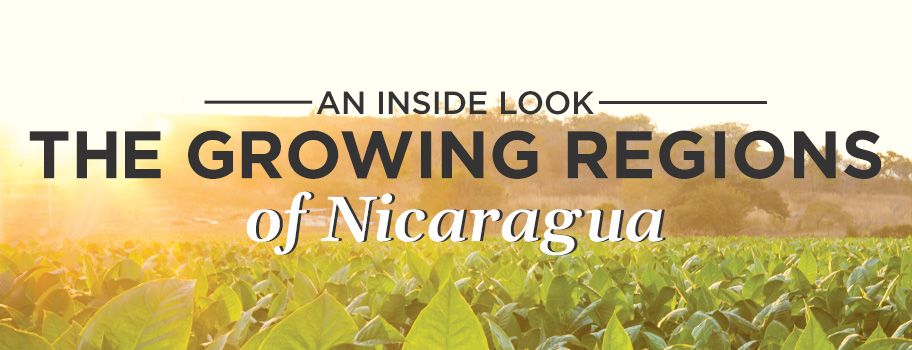 The Growing Regions of Nicaragua content main image
