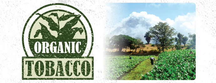Organic Tobacco content main image