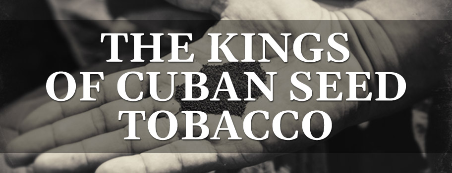 The Kings Of Cuban Seed Tobacco content main image