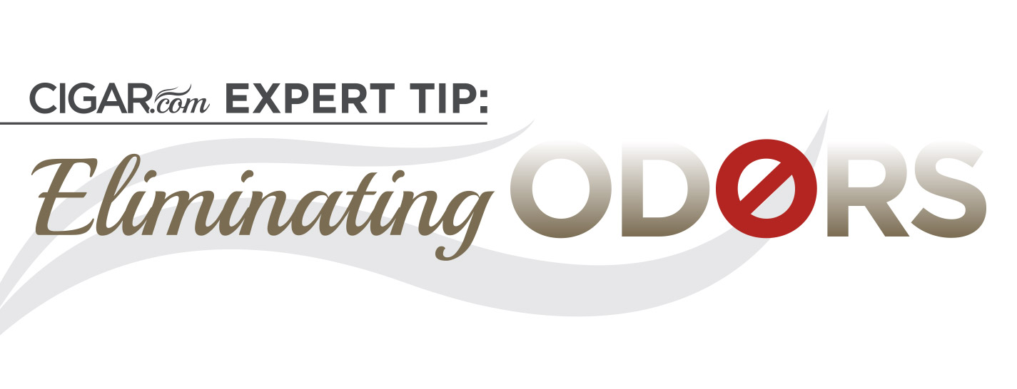Expert Tip: Eliminating Odors content main image