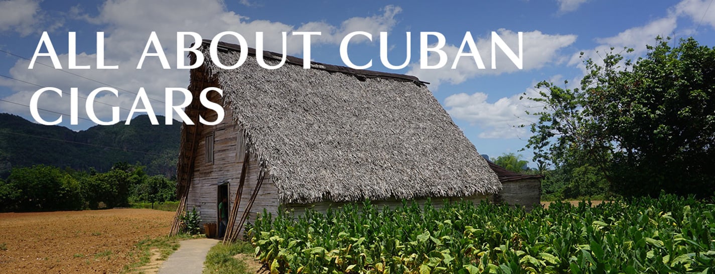 All About Cuban Cigars
