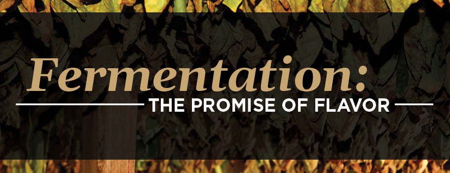 Fermentation: The Promise of Flavor content main image