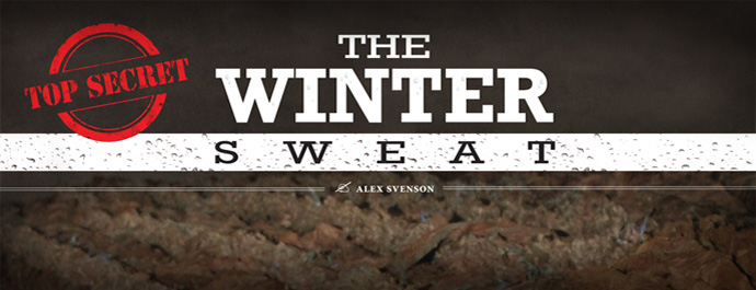 The Winter Sweat content main image